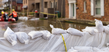 Gieo công nghệ, gặt năng suất: Câu chuyện Sandbags tối ưu vận hành với AVEVA Edge